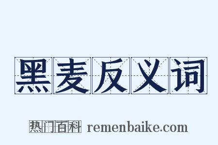 黑麦反义词是什么意思的图片